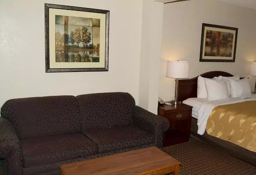 キングサイズベッドのスタンダードルーム, Quality Inn & Suites Lexington Near I 64 And I 81