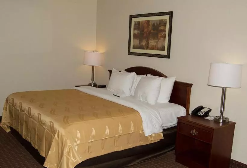 キングサイズベッドのスタンダードルーム, Quality Inn & Suites Lexington Near I 64 And I 81