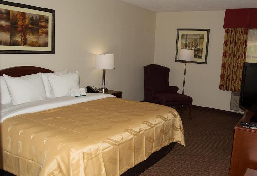 Стандартный Номер Кровать Кинг, Quality Inn & Suites Lexington Near I 64 And I 81