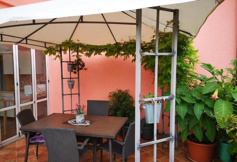 غرفة قياسية, Apartment & Rooms Graciela