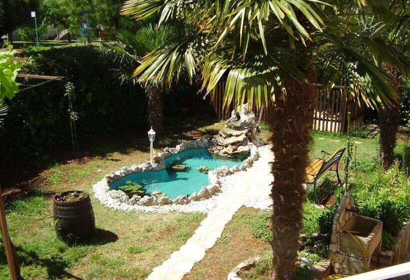 اتاق لوکس, Apartment & Rooms Graciela