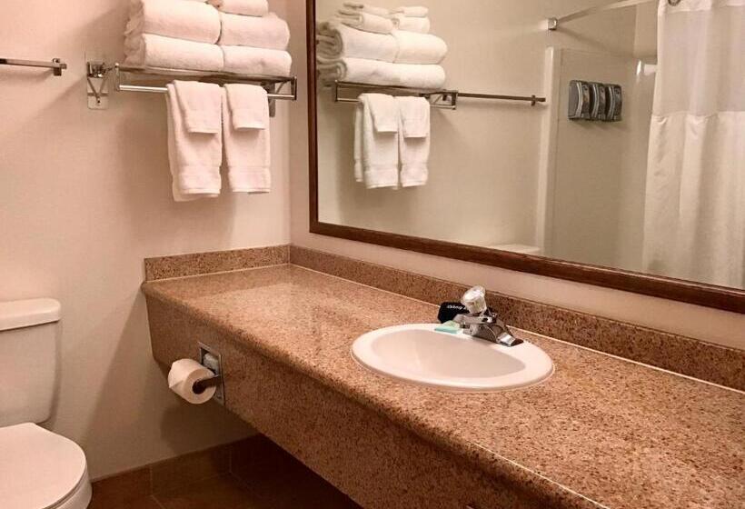 استودیوی استاندارد, Baymont By Wyndham Bozeman