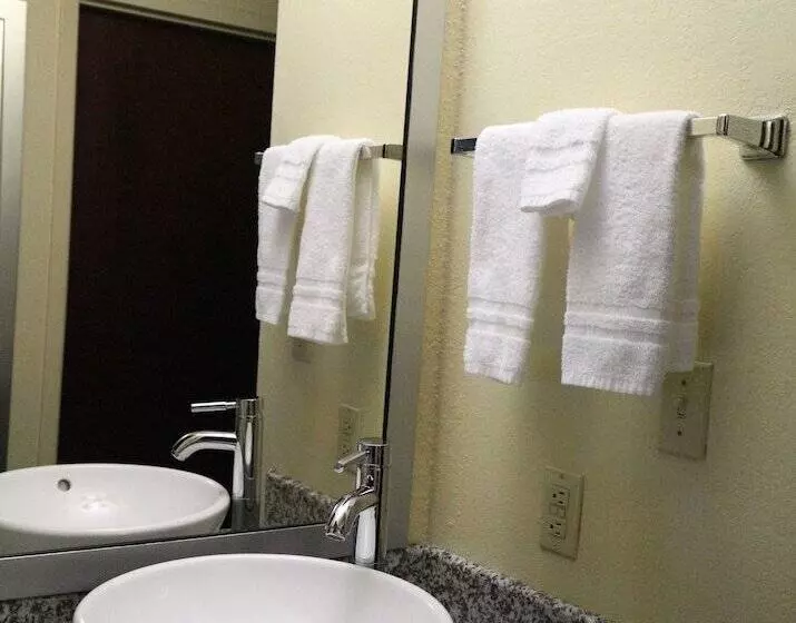 スイート, Best Western Knoxville Suites  Downtown