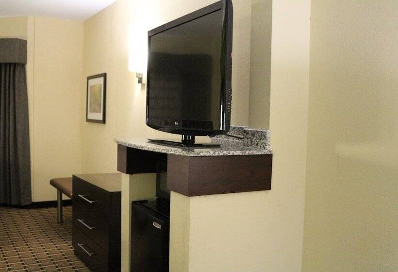 سوییت, Best Western Knoxville Suites  Downtown