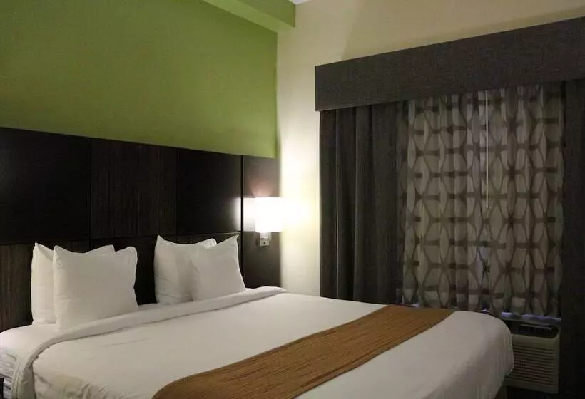 スイート, Best Western Knoxville Suites  Downtown