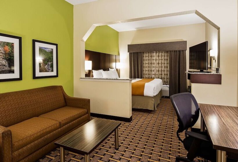 سوییت, Best Western Knoxville Suites  Downtown