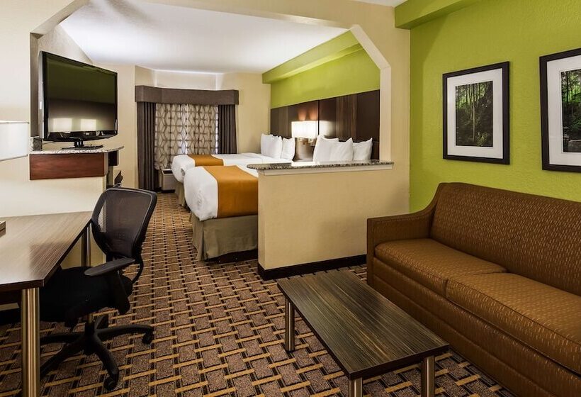سوییت, Best Western Knoxville Suites  Downtown