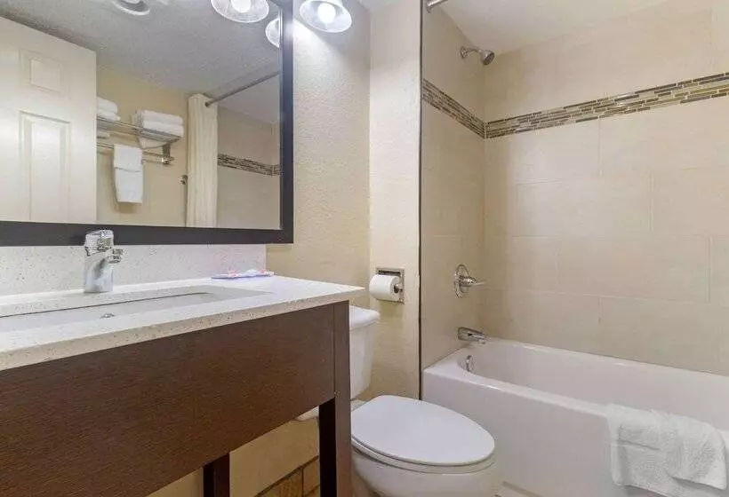 ２ダブルベッドのスタンダードルーム, Econo Lodge Inn & Suites Gatlinburg At The Convention Center