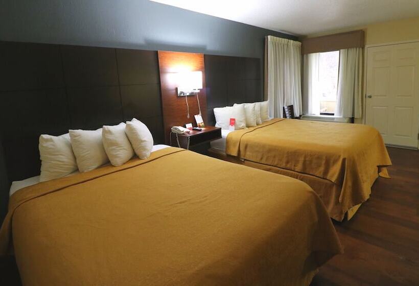 带2个双人床的标准工作室, Econo Lodge Inn & Suites Gatlinburg At The Convention Center