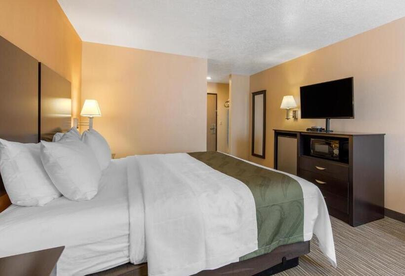 غرفة قياسية سرير كينج, Quality Inn & Suites Albuquerque North Near Balloon Fiesta Park