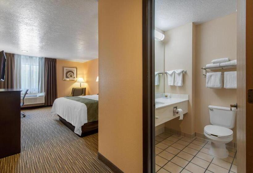غرفة قياسية سرير كينج, Quality Inn & Suites Albuquerque North Near Balloon Fiesta Park