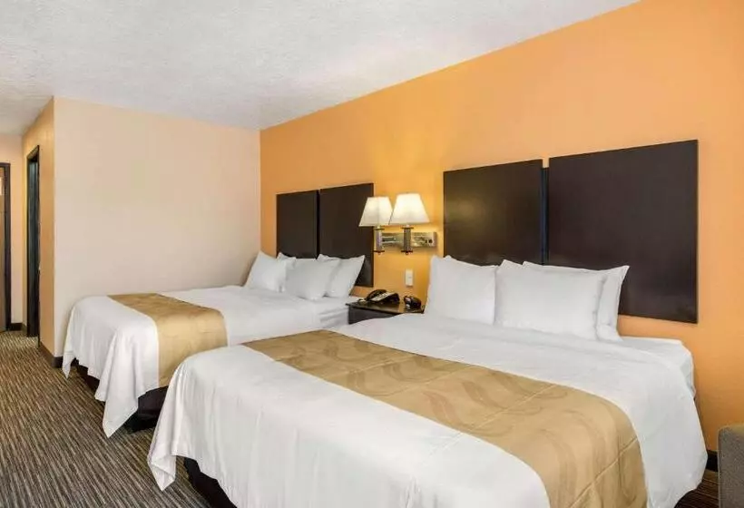 スタンダードルーム, Quality Inn & Suites Albuquerque North Near Balloon Fiesta Park