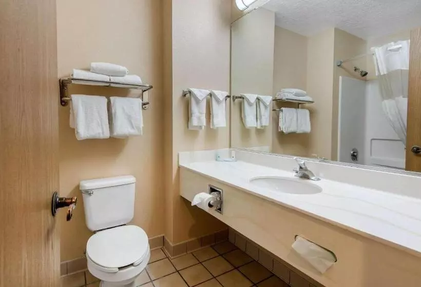 スタンダードルーム, Quality Inn & Suites Albuquerque North Near Balloon Fiesta Park
