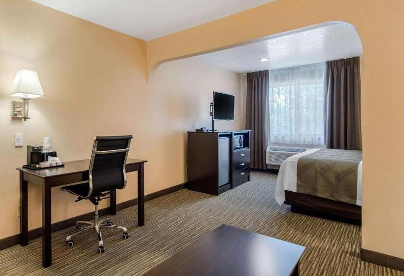 Люкс Кровать Кинг, Quality Inn & Suites Albuquerque North Near Balloon Fiesta Park