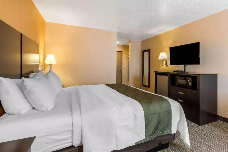 キングサイズベッドのスタンダードルーム, Quality Inn & Suites Albuquerque North Near Balloon Fiesta Park