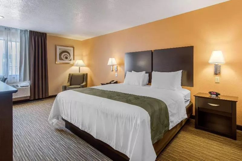 キングサイズベッドのスタンダードルーム, Quality Inn & Suites Albuquerque North Near Balloon Fiesta Park