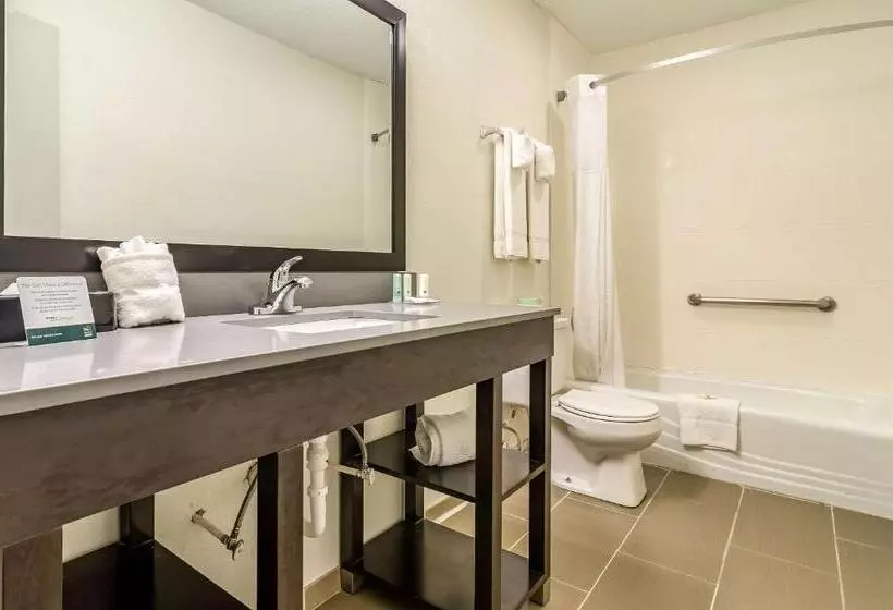 キングサイズベッドのスタンダードルーム, Quality Inn & Suites Creedmor   Butner