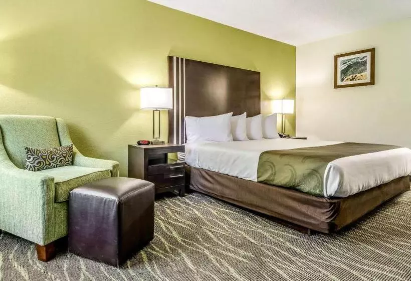 キングサイズベッドのスタンダードルーム, Quality Inn & Suites Creedmor   Butner