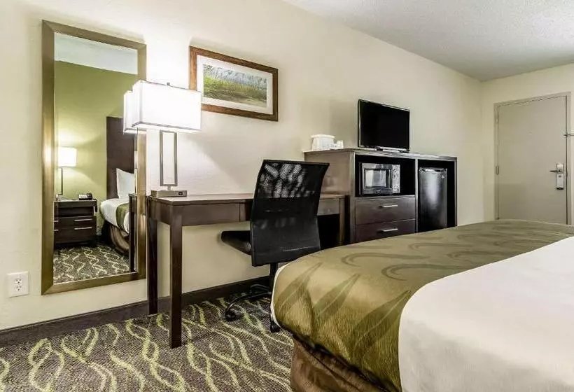 キングサイズベッドのスタンダードルーム, Quality Inn & Suites Creedmor   Butner