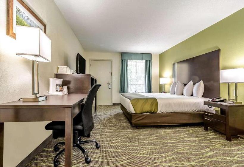 Стандартный Номер Кровать Кинг, Quality Inn & Suites Creedmor   Butner