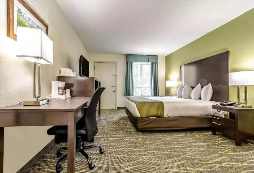 キングサイズベッドのスタンダードルーム, Quality Inn & Suites Creedmor   Butner