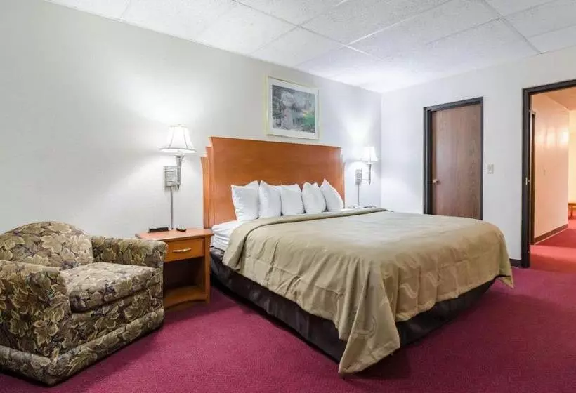Sviitti King-vuode, Quality Inn & Suites Salina