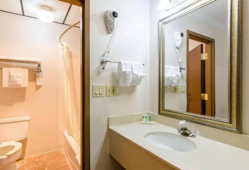 Superior-sviitti, Quality Inn & Suites Salina