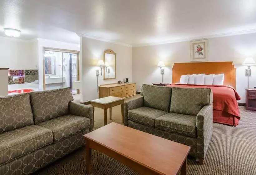 Sviitti King-vuode, Quality Inn & Suites Salina