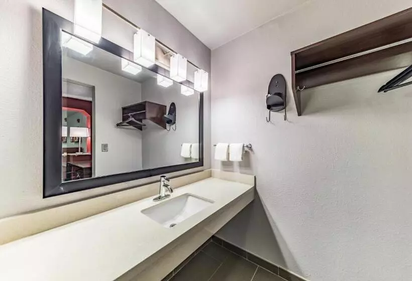Superior-huone King-vuode, Red Roof Inn Dallas Mesquite Fair Park Ne