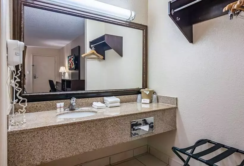 デラックスルーム, Red Roof Inn Orlando South  Florida Mall