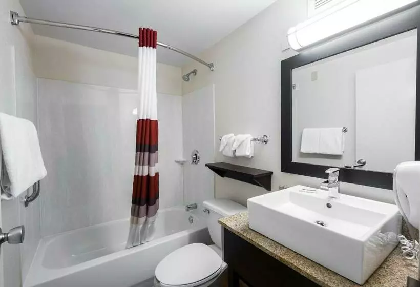 ２ダブルベッドのスタンダードルーム, Red Roof Inn Raleigh Southwest  Cary