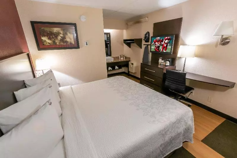 キングサイズベッドのスタンダードルーム, Red Roof Inn Plus+ St Louis   Forest Park/ Hampton Ave 