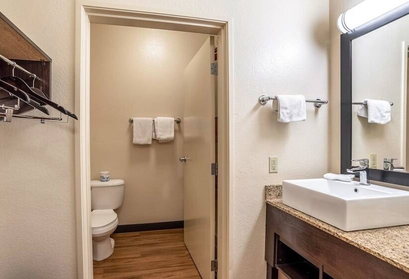 디럭스 룸, Red Roof Inn Plus+ Tempe   Phoenix Airport