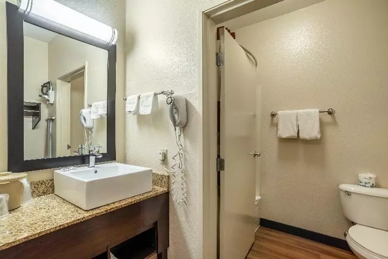 キングサイズベッドのスーペリアルーム, Red Roof Inn Plus+ Tempe   Phoenix Airport