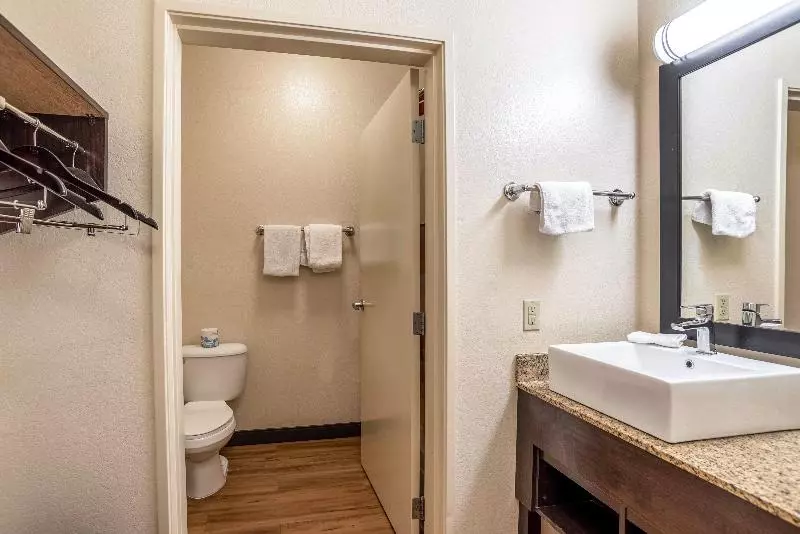 デラックスルーム, Red Roof Inn Plus+ Tempe   Phoenix Airport