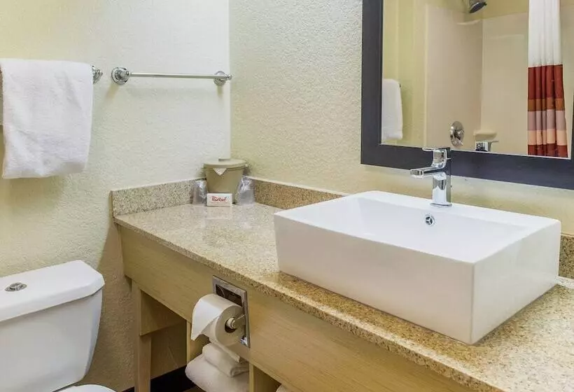 デラックスルーム, Red Roof Inn Plus+ West Palm Beach