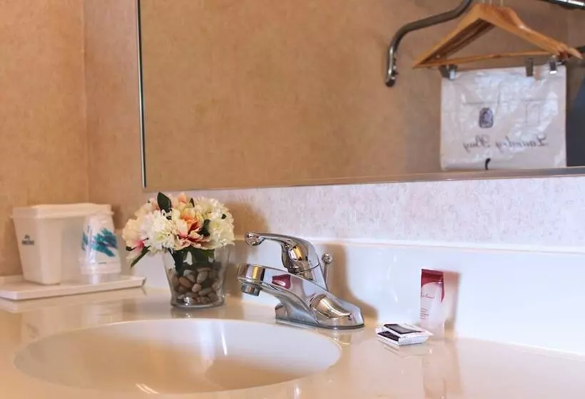 ２ダブルベッドのスタンダードルーム, Regency Inn Richmond