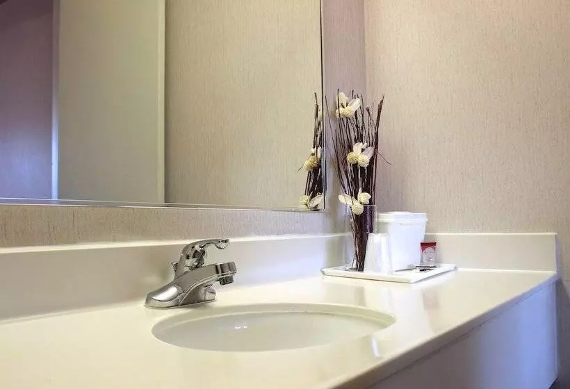 ２ダブルベッドのスタンダードルーム, Regency Inn Richmond