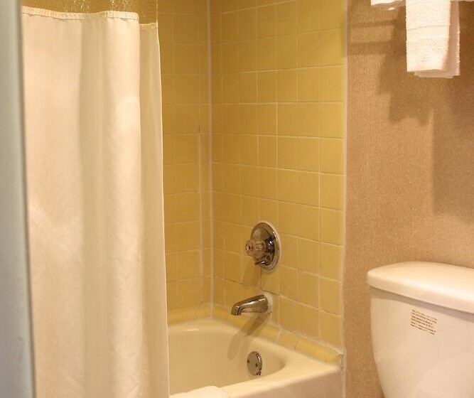 Номер Стандарт 2 Двуспальные Кровати, Regency Inn Richmond