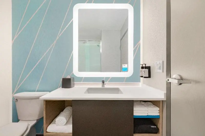 身障者適用キングサイズベッドルーム, Avid Hotel Nashville   Lebanon An Ihg