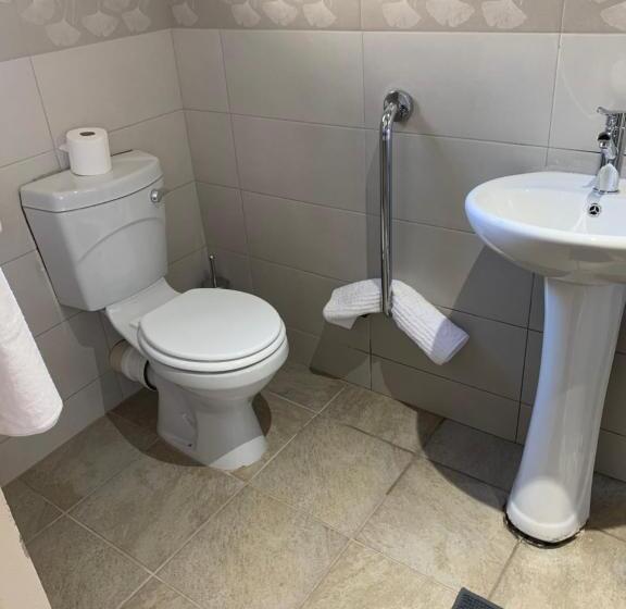 适合残疾人使用的标准间, The Hill Hotel And Conference Centre