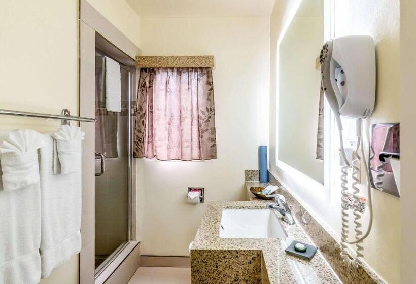 غرفة قياسية, Inn At 50  Long Beach Convention Center