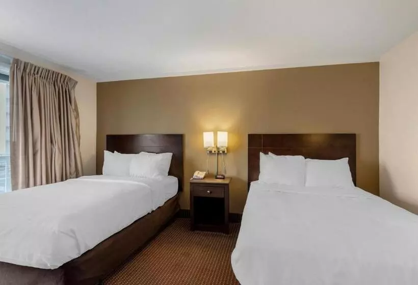 ２ダブルベッドのスタンダードルーム, Quality Inn Ocean City Beachfront