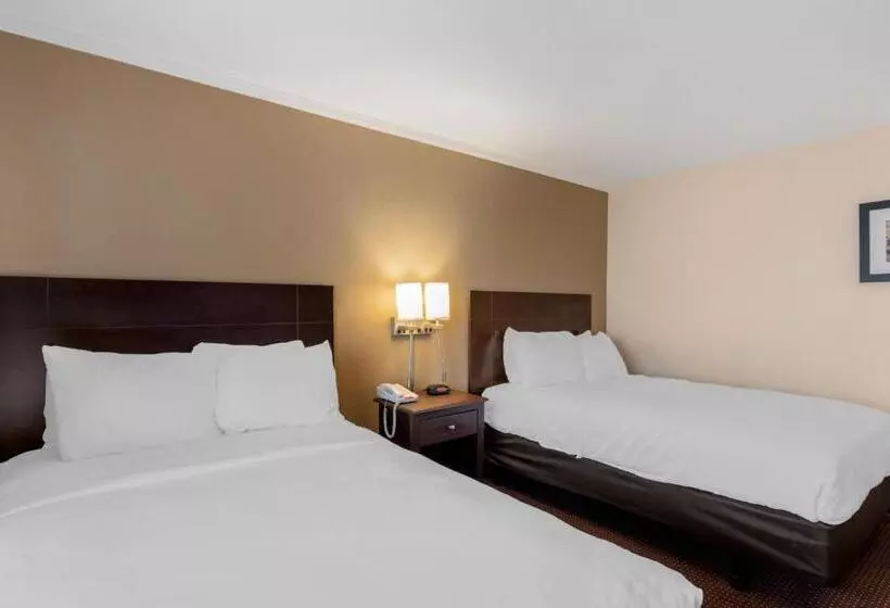 ２ダブルベッドのスタンダードルーム, Quality Inn Ocean City Beachfront