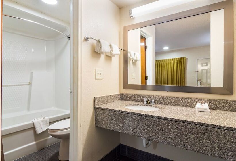 디럭스 룸, Red Roof Inn Atlanta Kennesaw State University