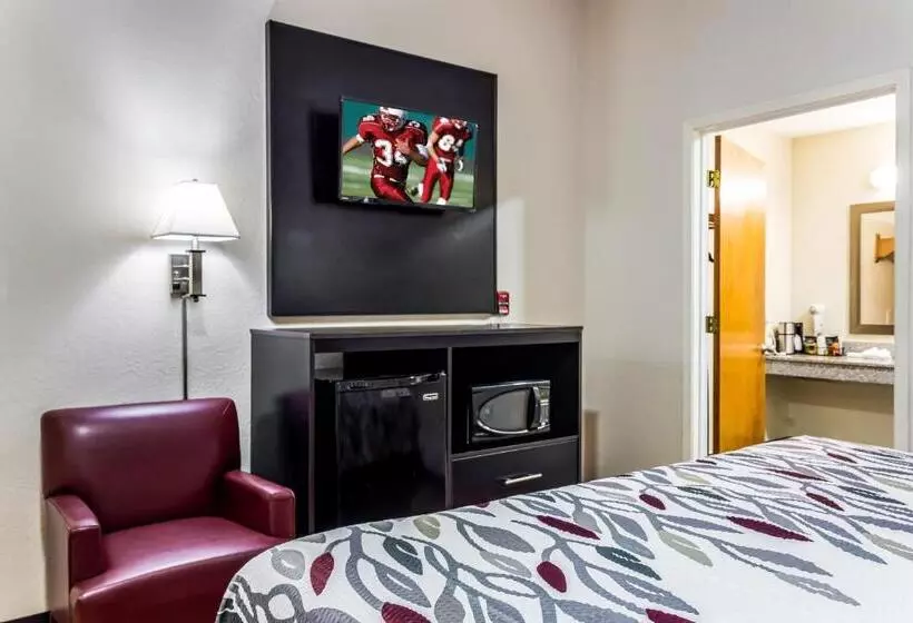 障害者適応デラックスルーム, Red Roof Inn Atlanta  Kennesaw State University