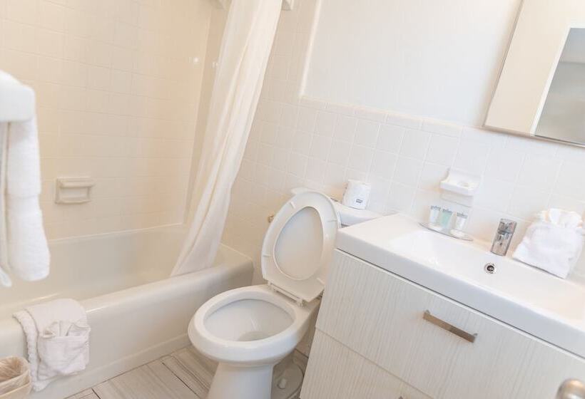 جناح سرير كينج, Regency Inn & Suites Sarasota