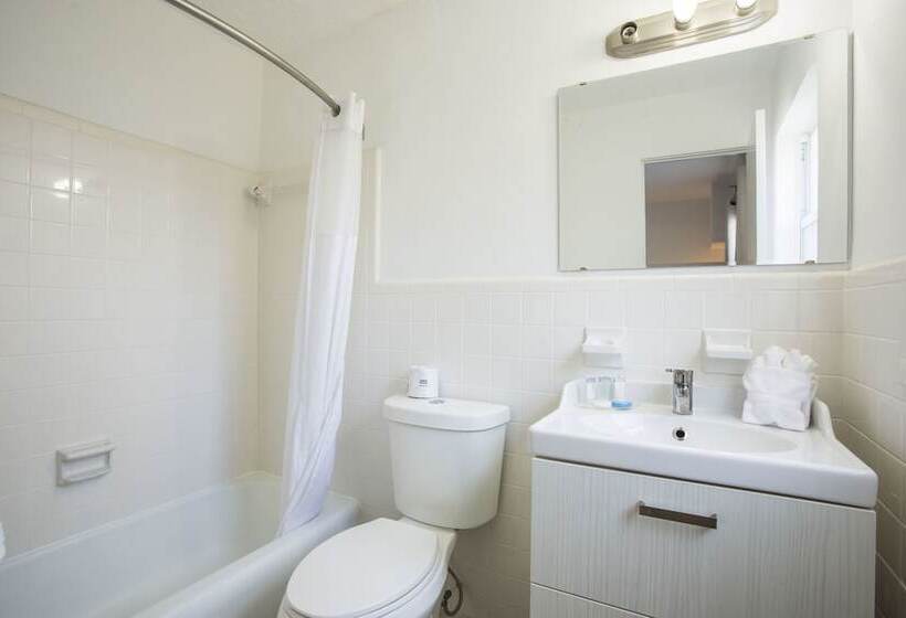 جناح سرير كينج, Regency Inn & Suites Sarasota