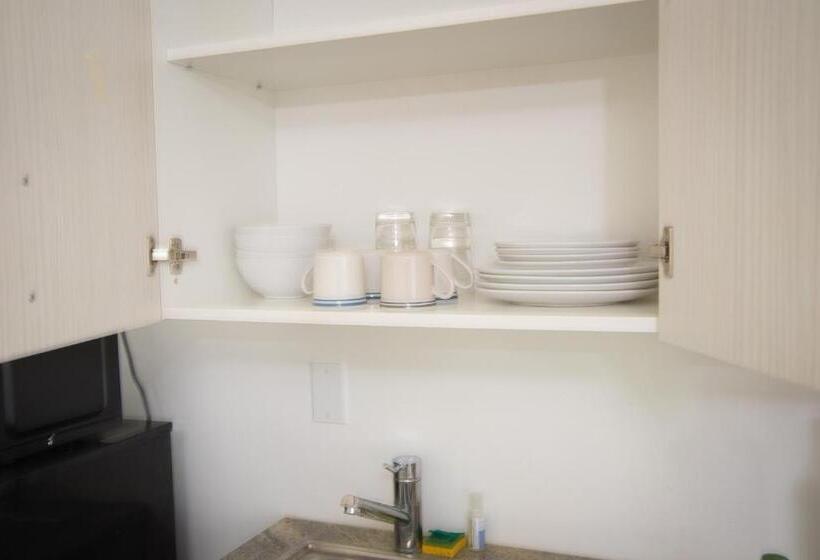 جناح سرير كينج, Regency Inn & Suites Sarasota