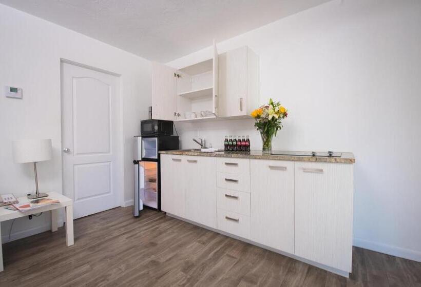 جناح سرير كينج, Regency Inn & Suites Sarasota